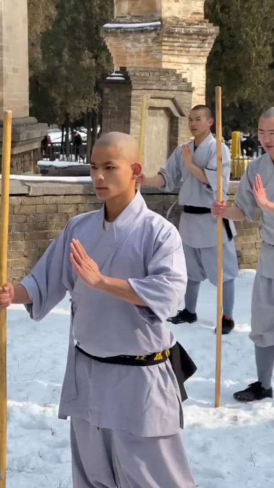 Post 6 by kung fu on TikTok (video)