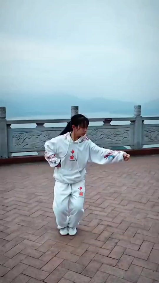 Post 1 by kung fu on TikTok (video)
