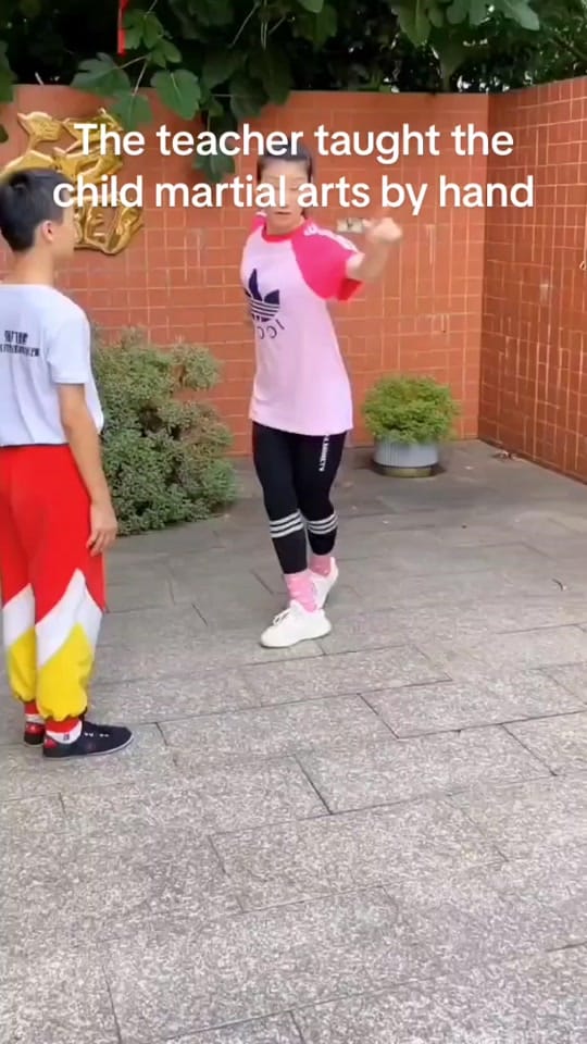 Post 8 by kung fu on TikTok (video)