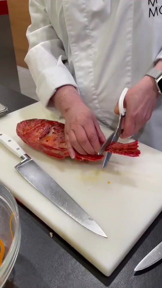 Post 4 by mimobitetheexperience on TikTok (video)