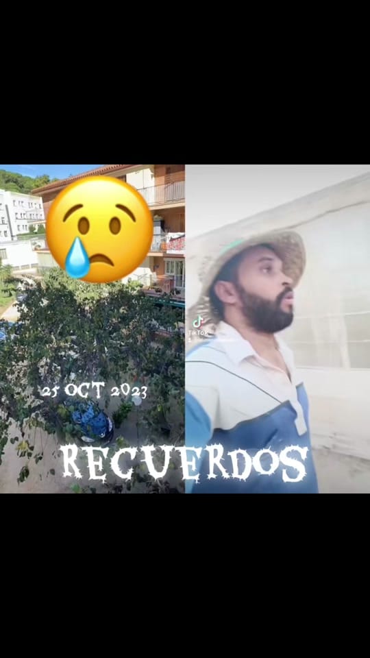 Post 8 by 🥰tata assia🥰 on TikTok (video)