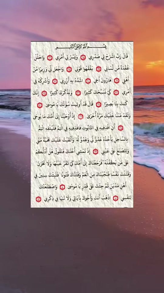 Post 6 by 🥰tata assia🥰 on TikTok (video)