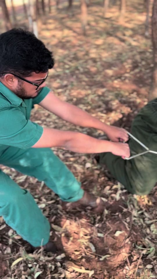 Post 3 by Renan Fernandes Thom on TikTok (video)
