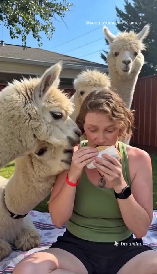 Post 2 by 🦙ᴜɴꜰɪʟᴛᴇʀᴇᴅ☽◯☾Yᴇᴇᴛᴜꜱ🦙 on TikTok (video)