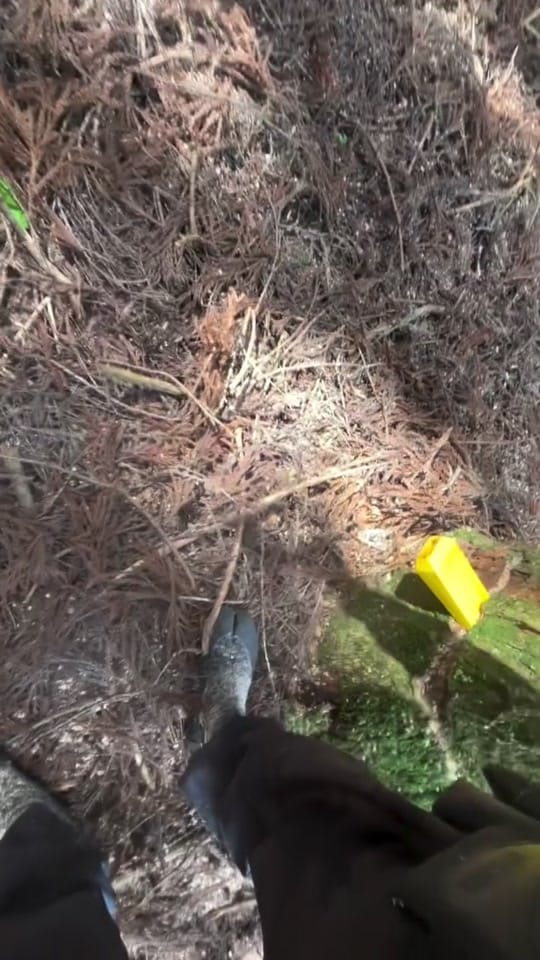 Post 6 by Gary Marandola on TikTok (video)