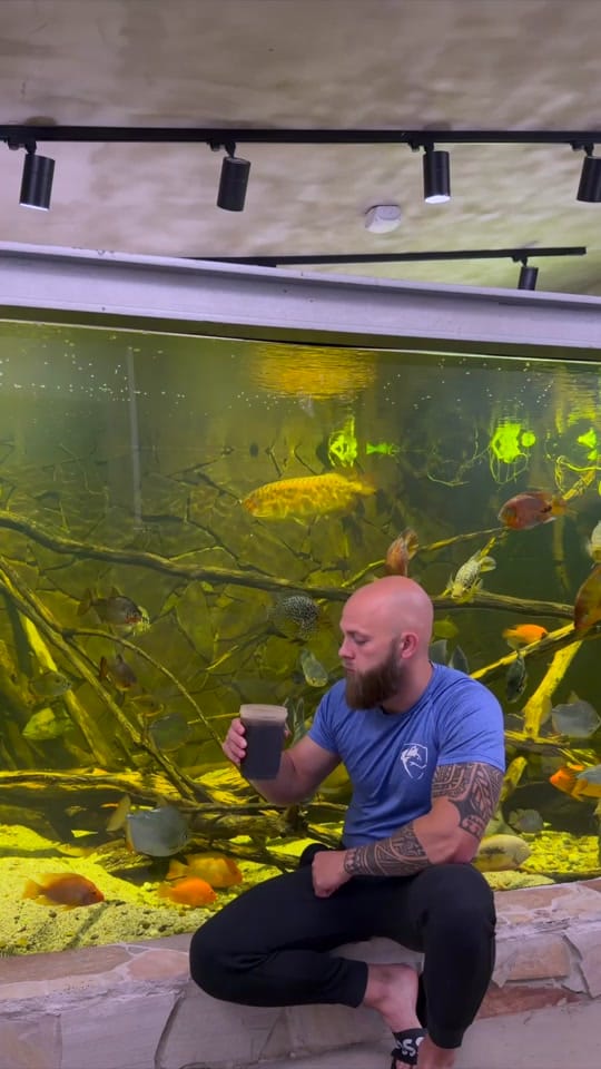 Post 2 by rodneysfishtank on TikTok (video)