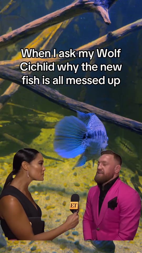 Post 5 by rodneysfishtank on TikTok (video)