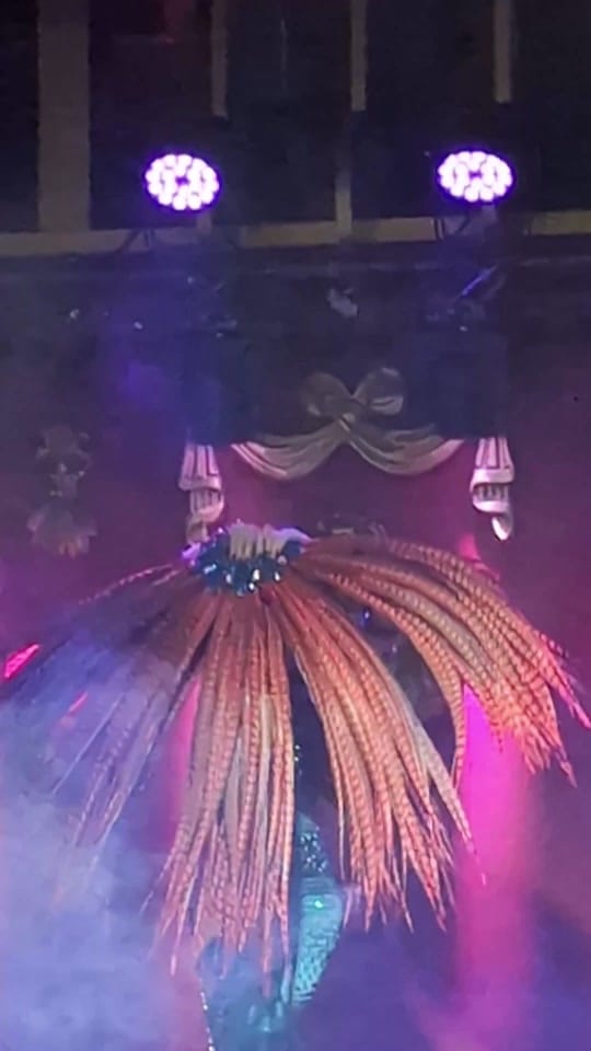 Post 9 by Katrin Gajndr | Luxury Artist on TikTok (video)