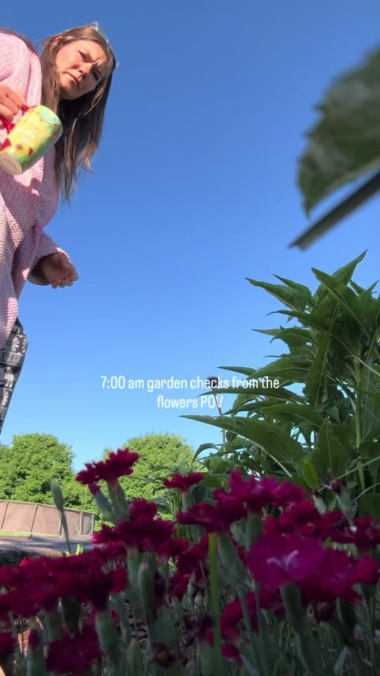 Post 8 by Rosalind Yoder- Gardener on TikTok (video)
