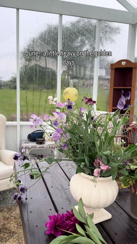 Post 4 by Rosalind Yoder- Gardener on TikTok (video)