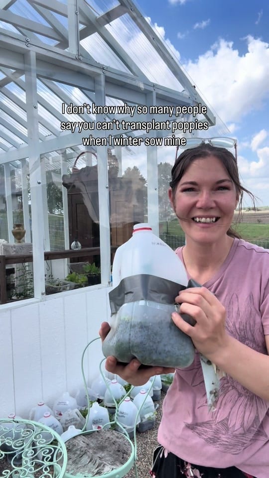 Post 5 by Rosalind Yoder- Gardener on TikTok (video)
