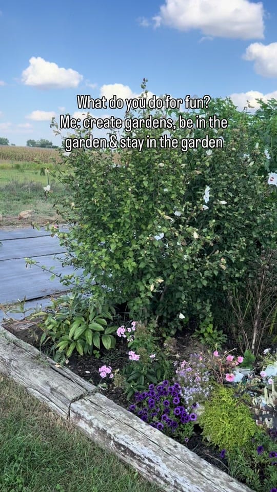 Post 2 by Rosalind Yoder- Gardener on TikTok (video)