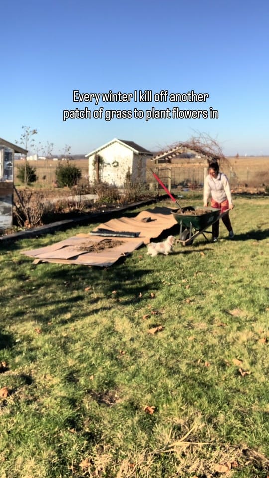 Post 7 by Rosalind Yoder- Gardener on TikTok (video)