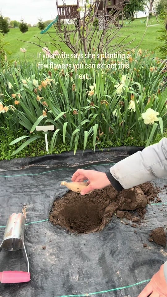 Post 6 by Rosalind Yoder- Gardener on TikTok (video)