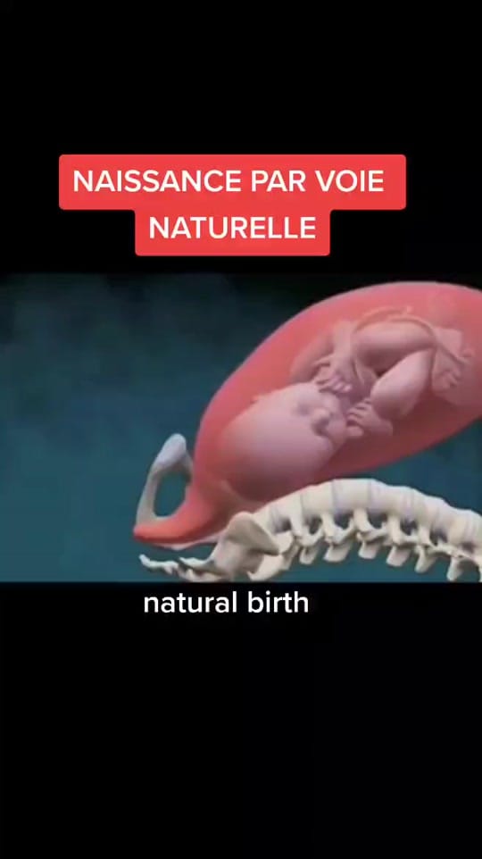 Post 9 by fab on TikTok (video)