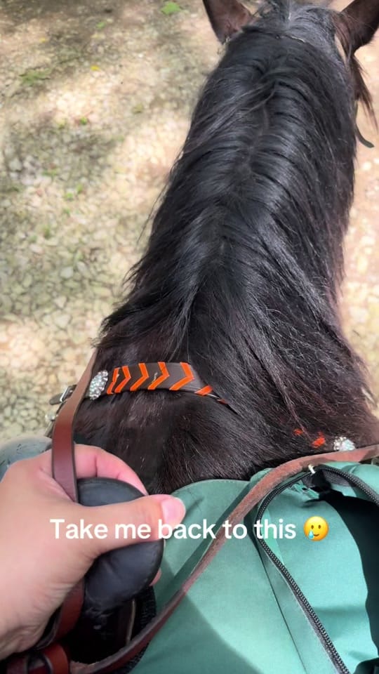 Post 9 by Lisa Ivette on TikTok (video)