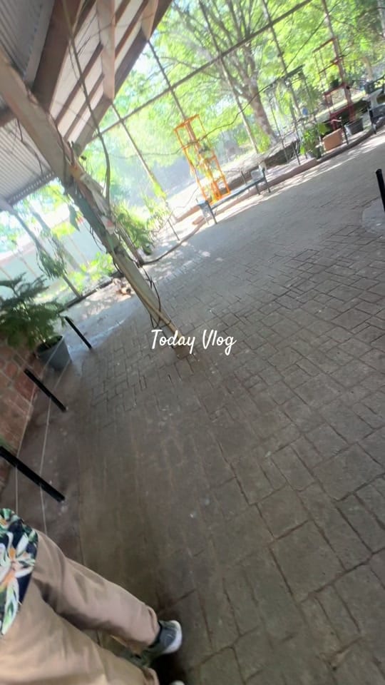 Post 4 by Lisa Ivette on TikTok (video)