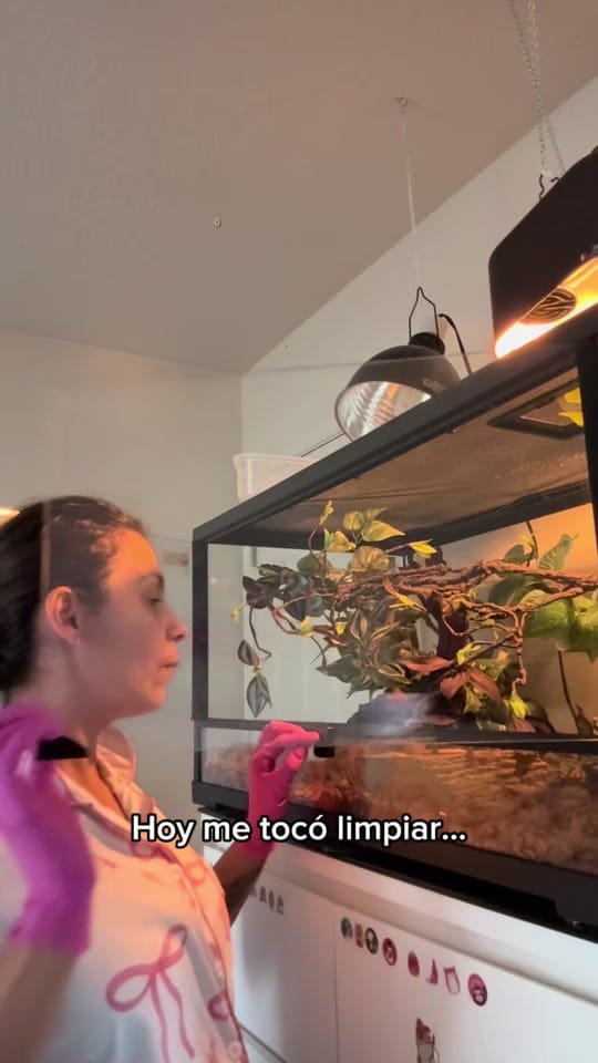 Post 6 by D’princesstysonessentials on TikTok (video)