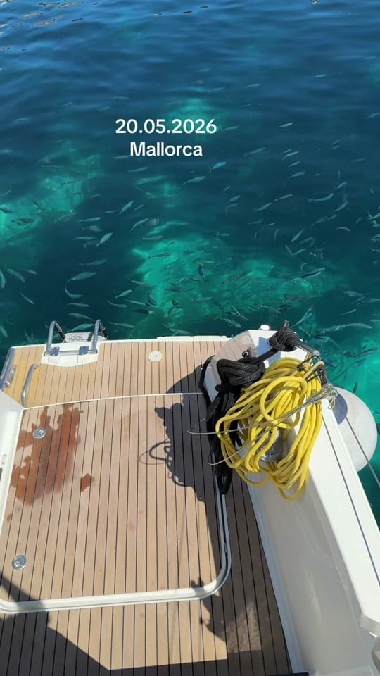Post 8 by mallorcatravel8 on TikTok (video)
