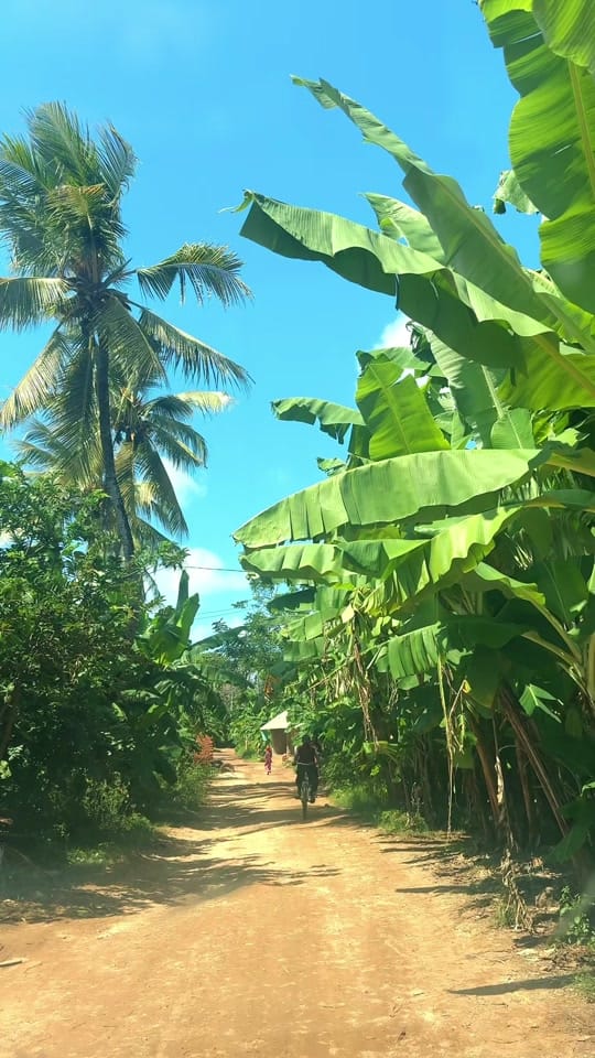 Post 2 by Hamza | Filmmaker | Traveler on TikTok (video)