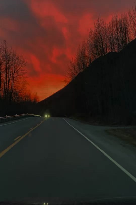 Post 8 by Cindi on TikTok (video)