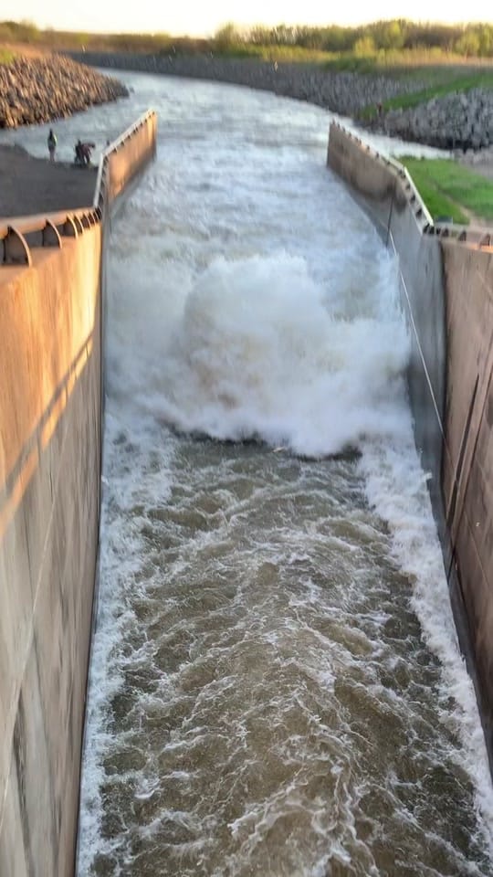 Post 9 by Welch on TikTok (video)