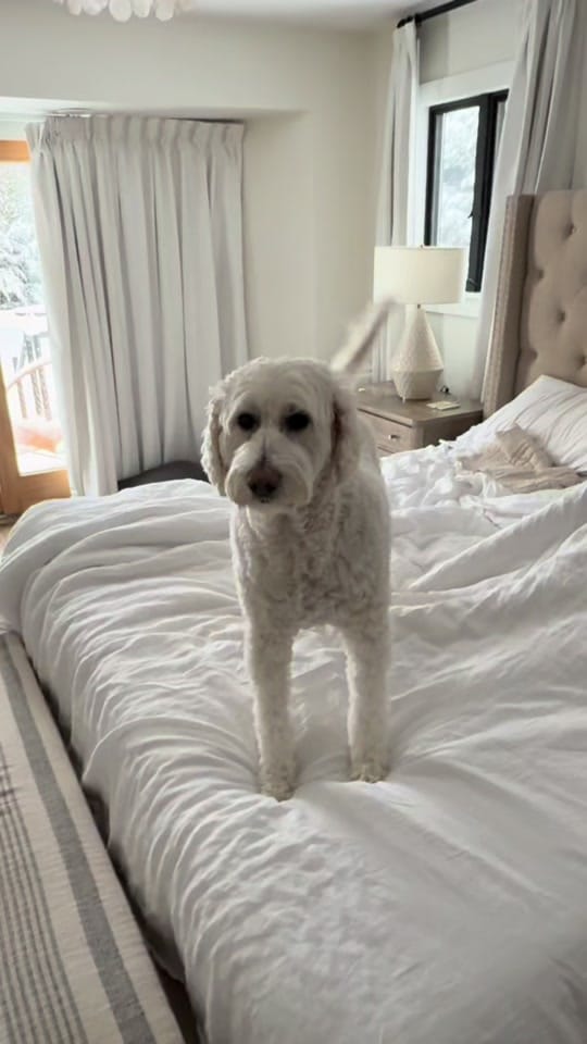 Post 8 by Willie-Fawaz on TikTok (video)