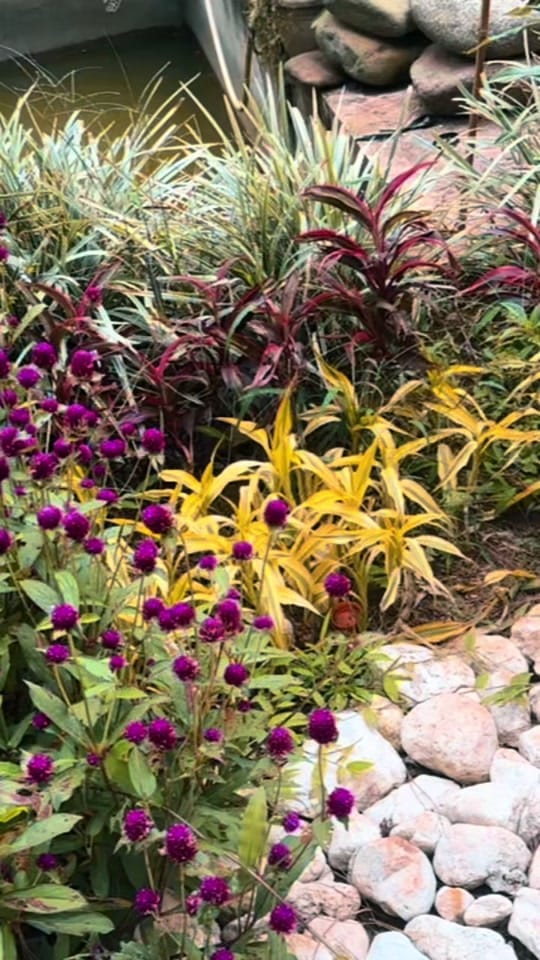 Post 7 by Dr.Salus Anacta  on IG on TikTok (video)