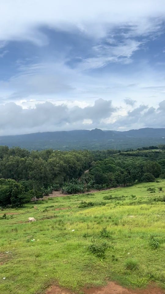 Post 6 by Dr.Salus Anacta  on IG on TikTok (video)