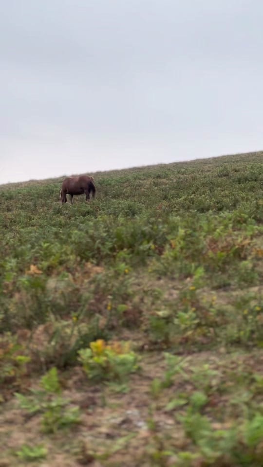 Post 1 by Travelleating on TikTok (video)