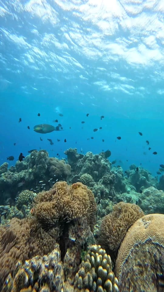 Post 4 by Travelleating on TikTok (video)