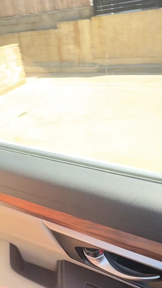 Post 5 by Amber Meisnerr on TikTok (video)