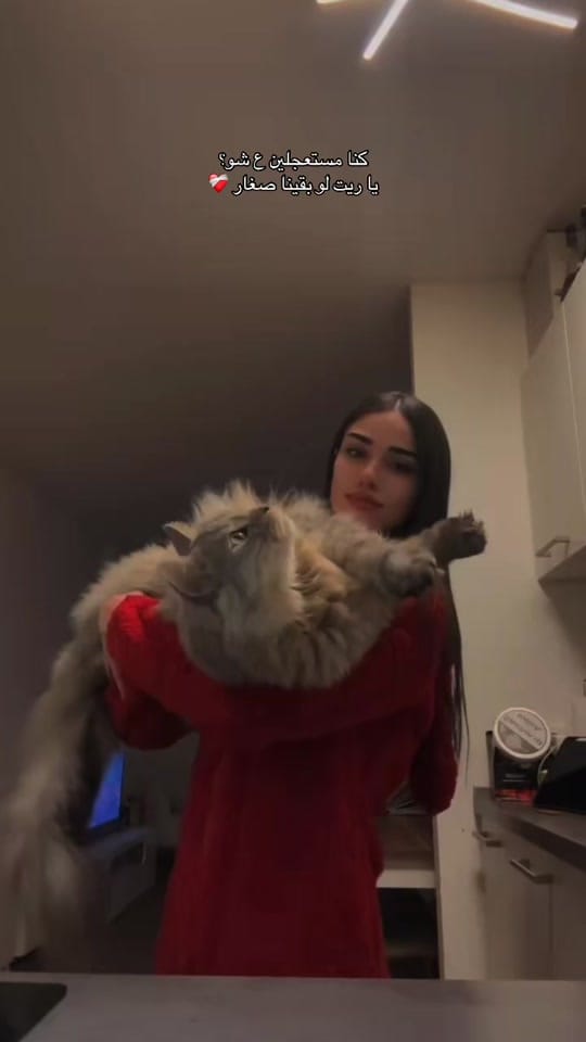 Post 8 by 𝐁𝐀𝐘𝐀𝐍 | 🥀 on TikTok (video)