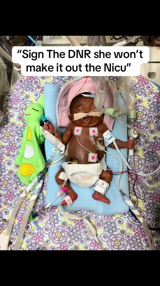 Post 10 by KadeishaMichelle 💚🧸 on TikTok (video)