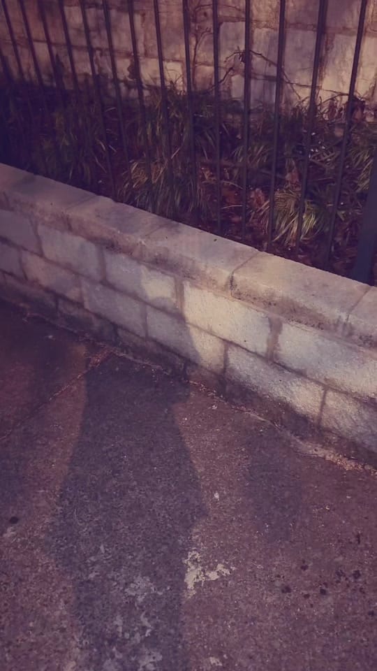 Post 6 by caro on TikTok (video)
