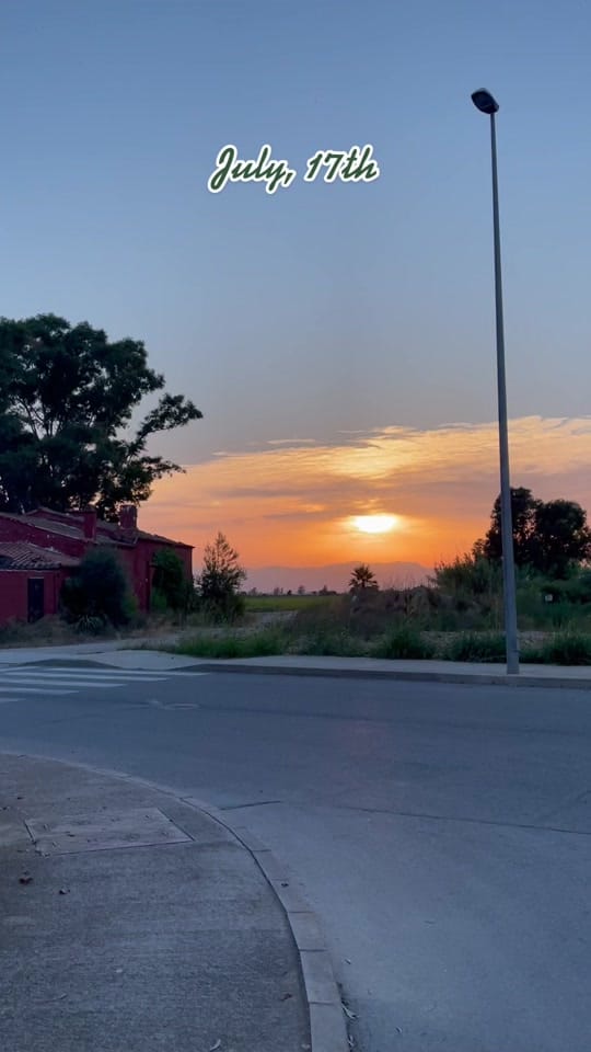 Post 7 by Fleur Kok | Valencia on TikTok (video)