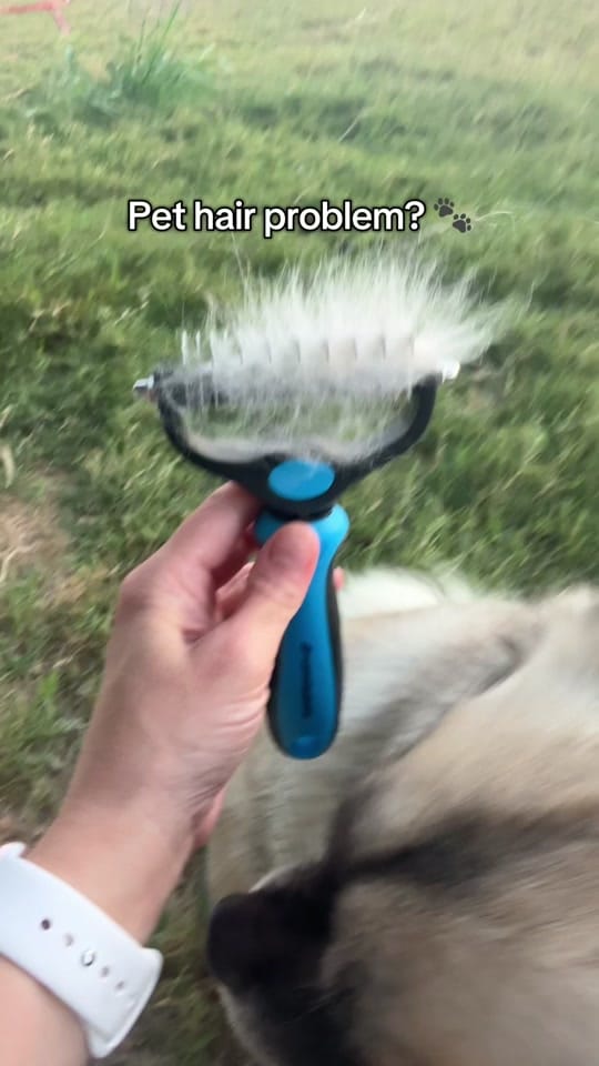 Post 10 by jaccialbright on TikTok (video)