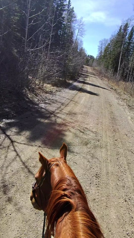 Post 1 by Jodie Morton on TikTok (video)
