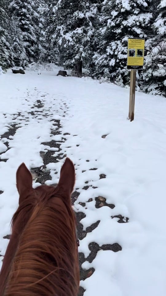 Post 8 by Jodie Morton on TikTok (video)