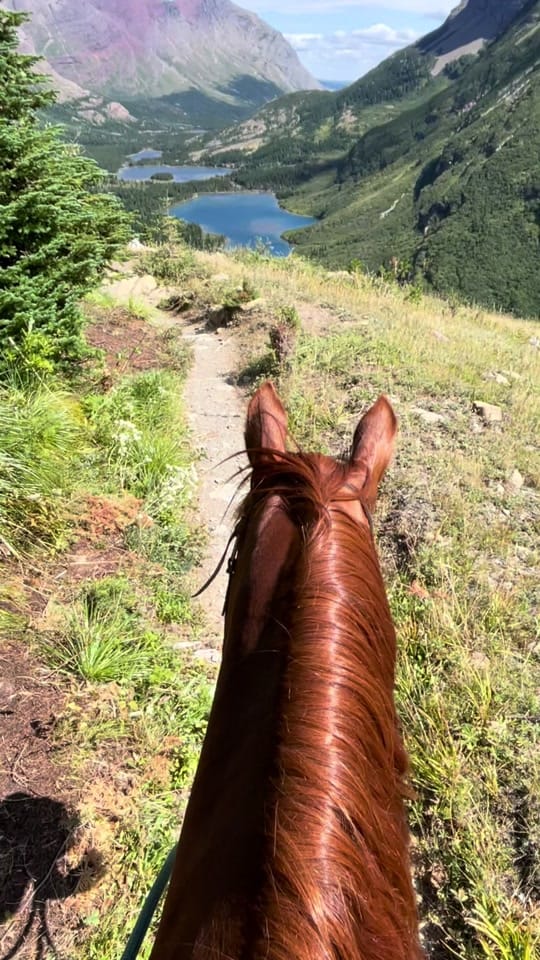 Post 10 by Jodie Morton on TikTok (video)