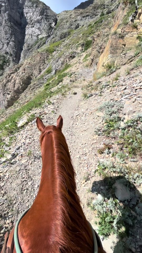 Post 7 by Jodie Morton on TikTok (video)