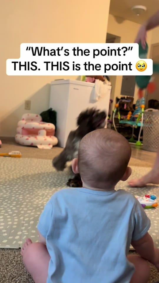 Post 1 by Mercedes on TikTok (video)