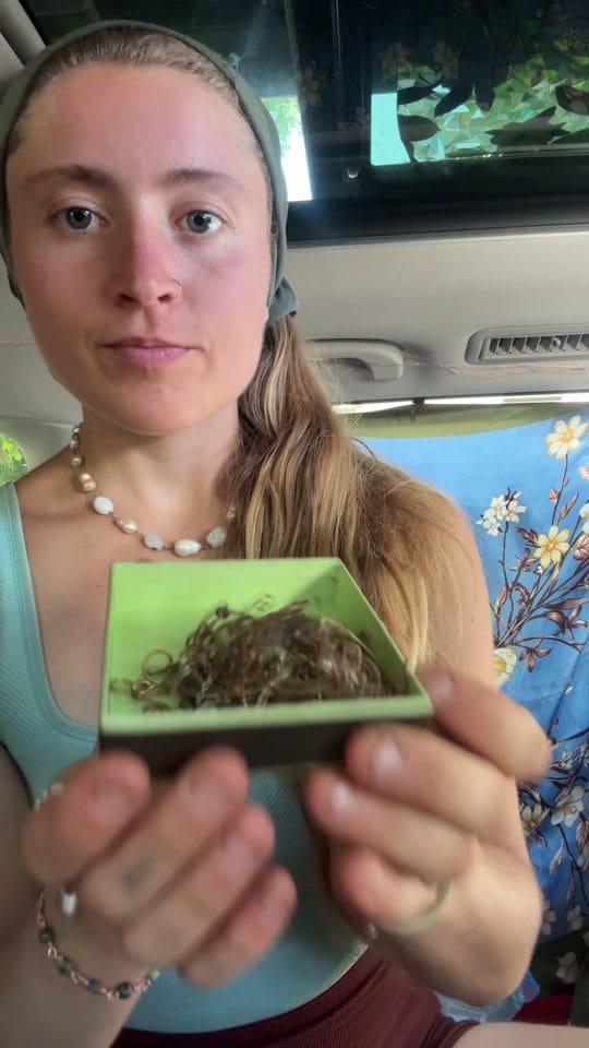 Post 3 by Natalia on TikTok (video)