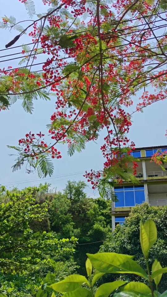 Post 6 by Explore With ARMAN on TikTok (video)