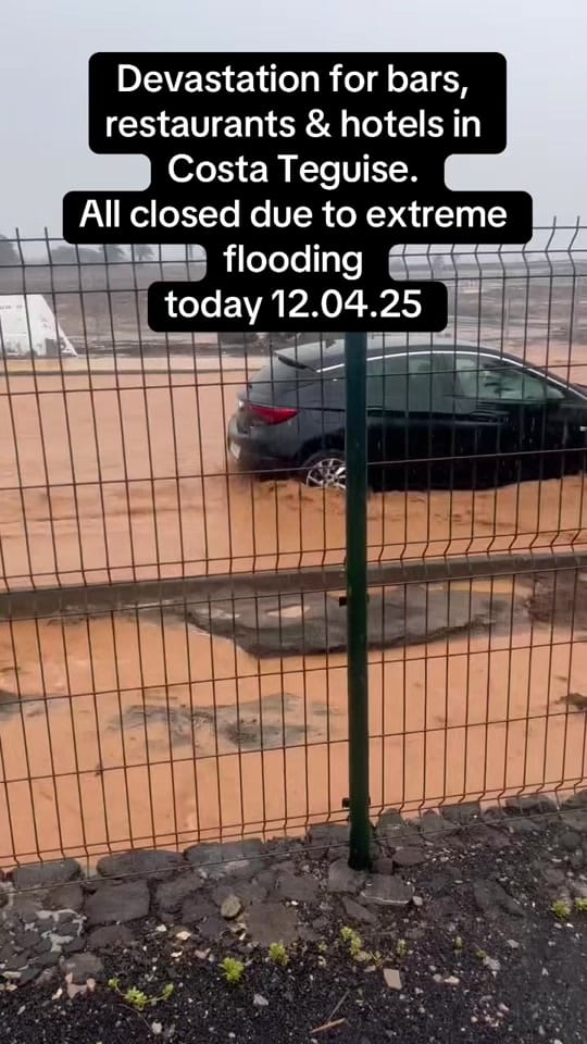 Post 8 by Lanzachick88 on TikTok (video)