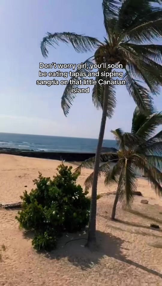 Post 1 by Lanzachick88 on TikTok (video)