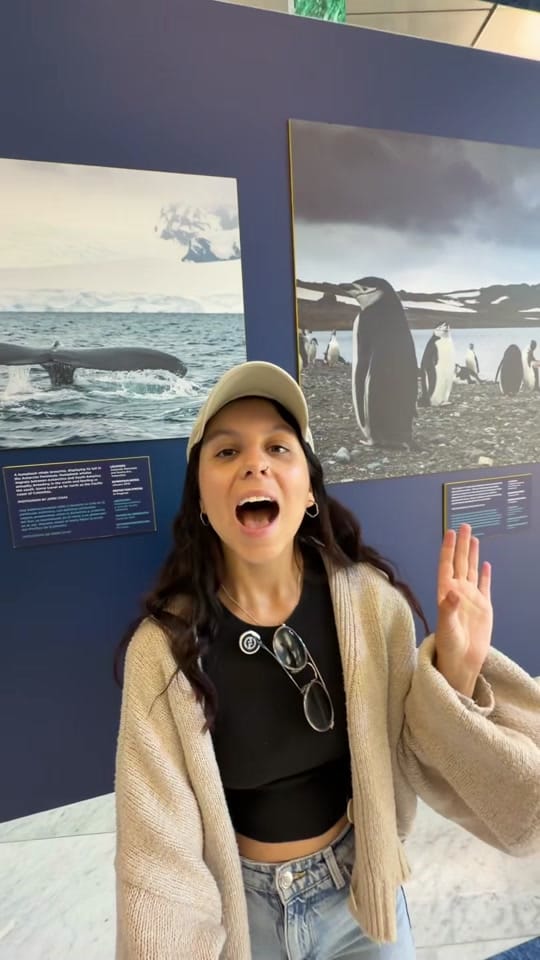 Post 4 by Marta Travels ✈️ on TikTok (video)
