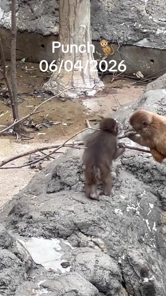 Post 1 by Discovering Wonderful Places on TikTok (video)