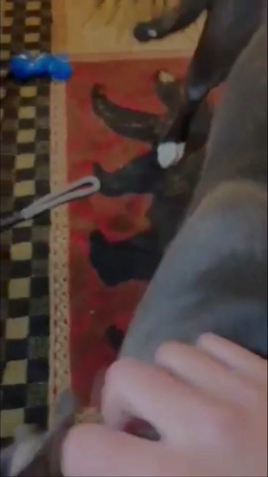 Post 2 by Bleeker on TikTok (video)