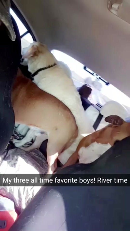 Post 1 by Bleeker on TikTok (video)